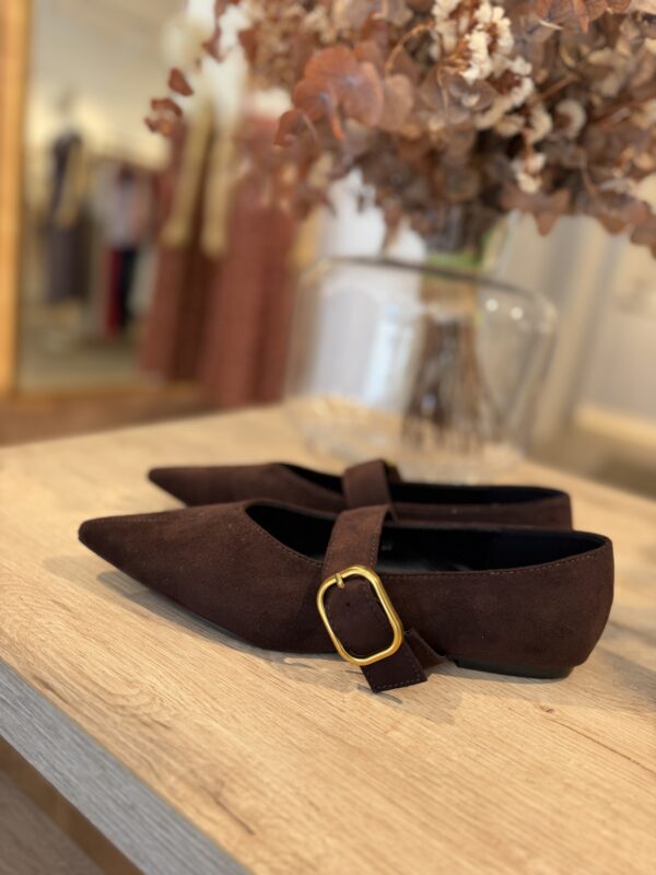 Zapato hebilla marrón